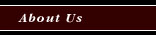 Salter & Associates CPAs - About Us